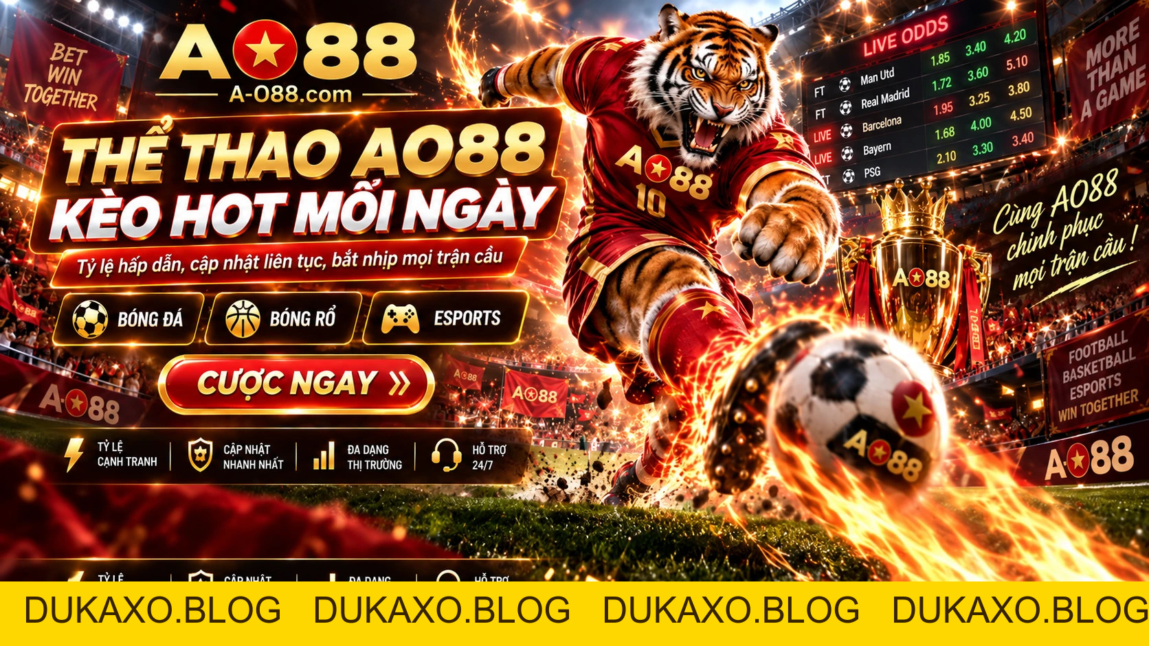 Cược Thể Thao AO88 – Bóng Đá, Bóng Rổ & Esports - DUKAXO
