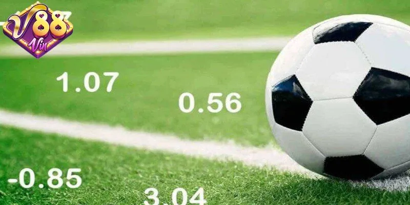 Odds là gì? Phân biệt các loại odds phổ biến hiện nay - DUKAXO