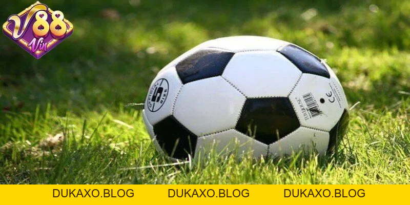 Odds là gì? Phân biệt các loại odds phổ biến hiện nay - DUKAXO