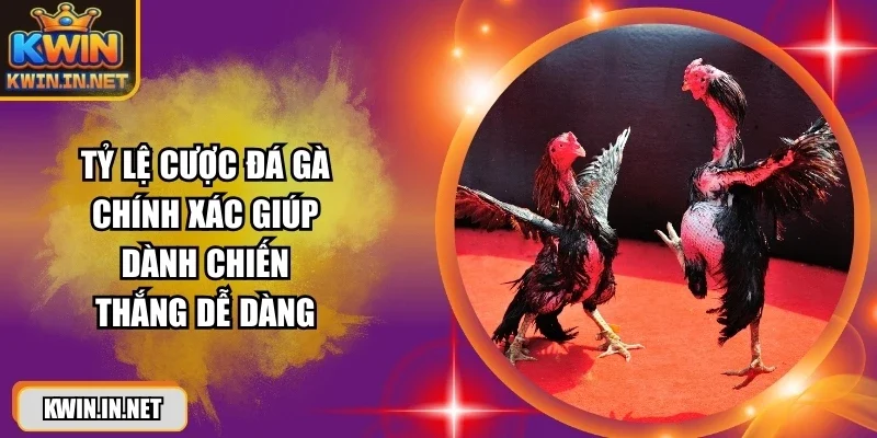 Tỷ Lệ Cược Đá Gà – Hướng Dẫn Đọc Kèo Chuẩn Xác 100% - DUKAXO